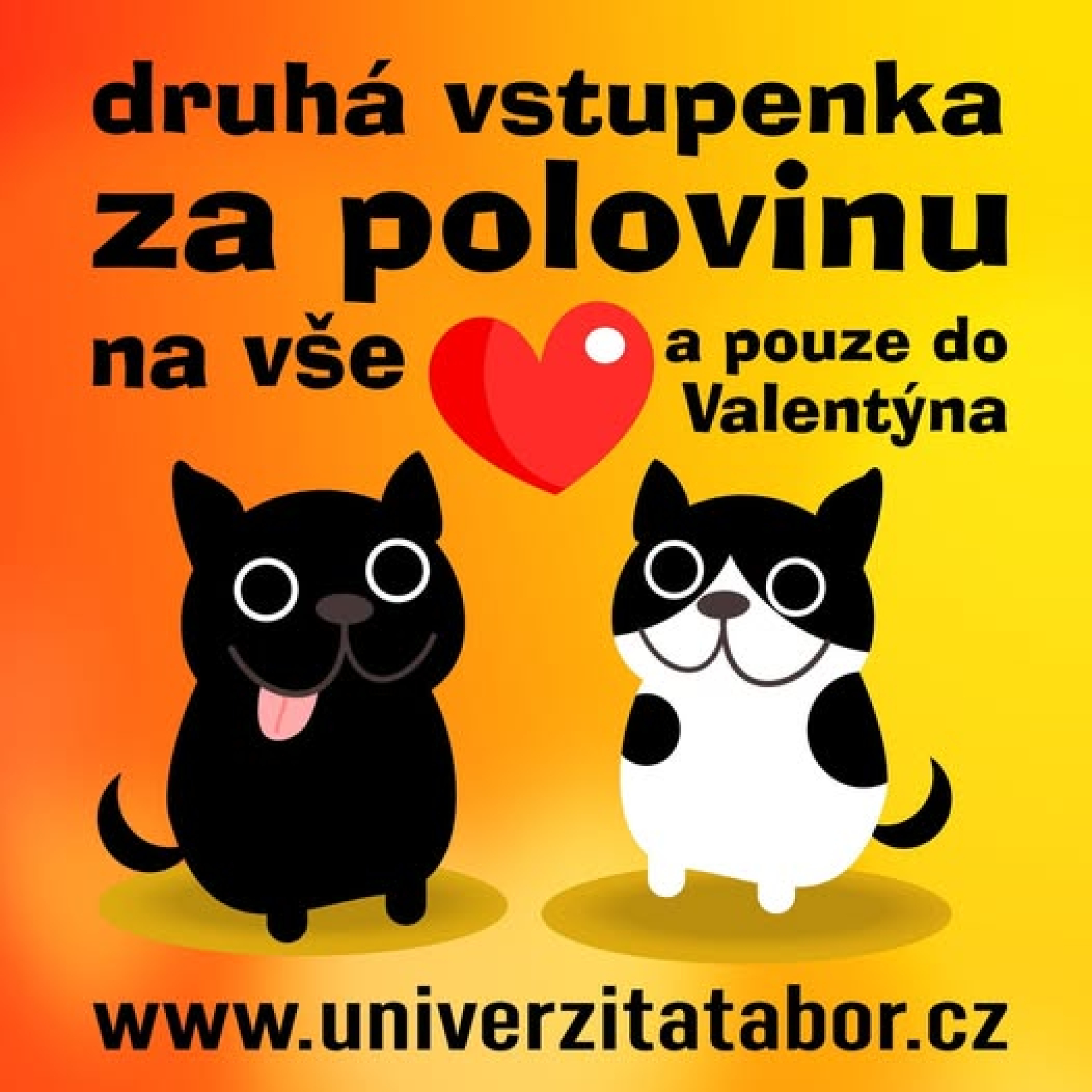 87e0e84f-valentin-kocky-final-small.jpeg